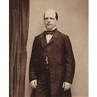 Albrecht Theodor Middeldorpff