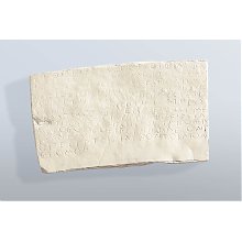 54590-26-g-r_www.jpg
