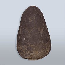 7c48f-07_el_kamienny_1-www.jpg