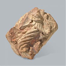 a2764-artefakt-23-128_www.jpg